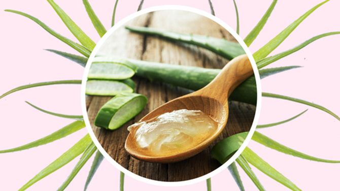 6 Amazing Benefits of Aloe Vera for Skin