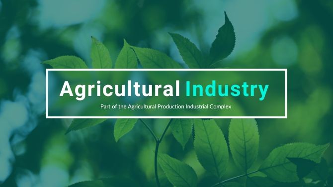 Careers in Agriculture: Diverse Opportunities in Agribusiness, Research, and Extension