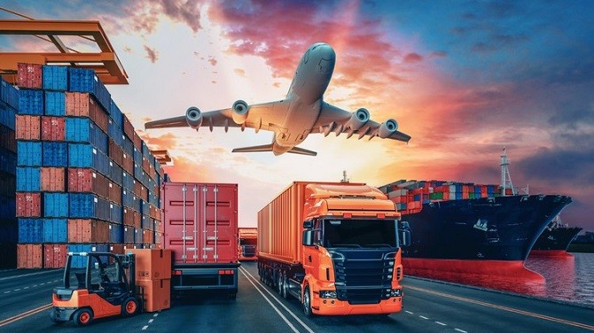 Canis Logistics: Revolutionizing 3PL Logistics Services in Qatar