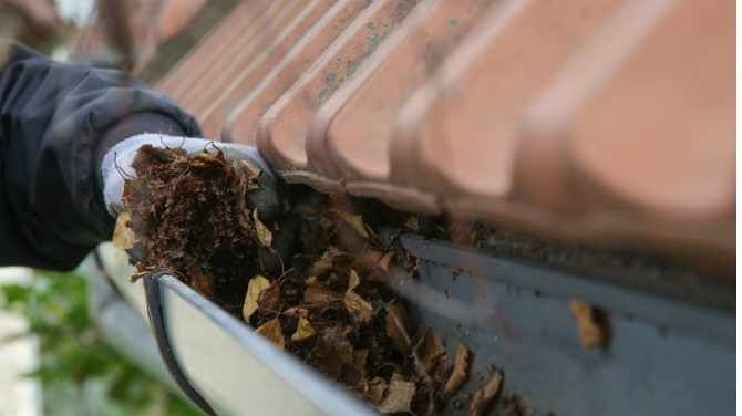 Why Regular Gutter Cleaning Saves You Thousands in Home Repairs