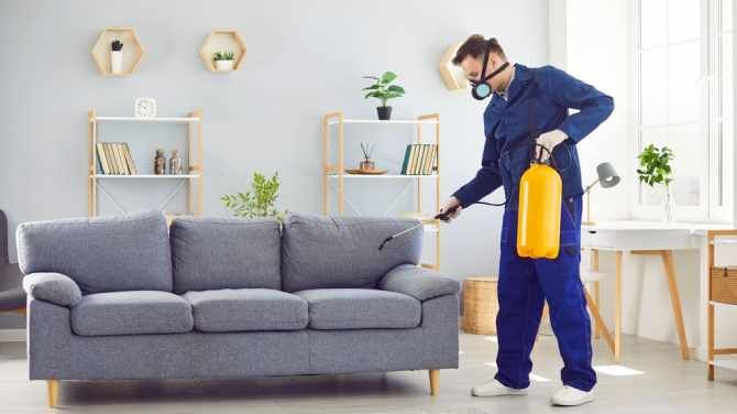 How Melbourne’s Rapid Urban Growth Is Changing the Role of Pest Controllers