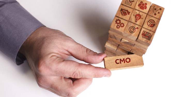 How Fractional CMO Services Help Founders Build Marketing That Actually Delivers Results